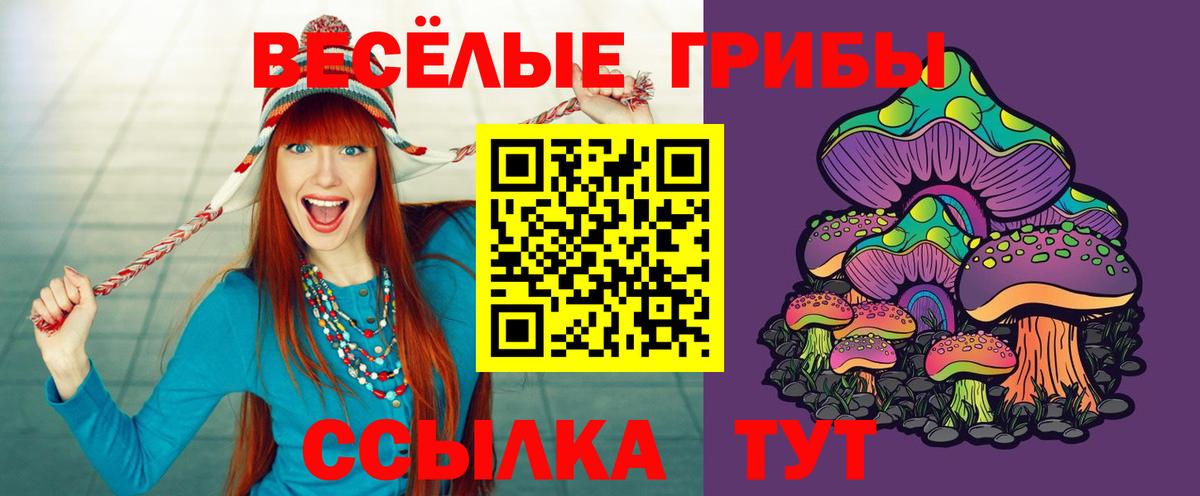 Старая Купавна  Галлюциногенные грибы MAGIC MUSHROOMS  Вход с VPN  Псилоцибиновые грибы Psilocybe 